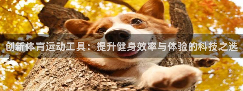 欧亿体育官方正版app开户:创新体育运动工具:提升健身效率与