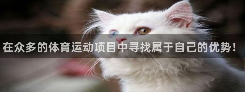 oety欧亿体育官网下载招商:在众多的体育运动项目中寻找属于