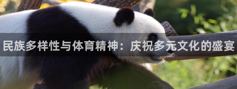 oety欧亿体育官网下载招商电话是多少号码:民族多样性与体育
