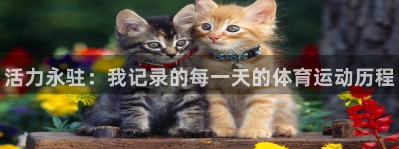 oety欧亿体育官网下载:活力永驻:我记录的每一天的体育运动