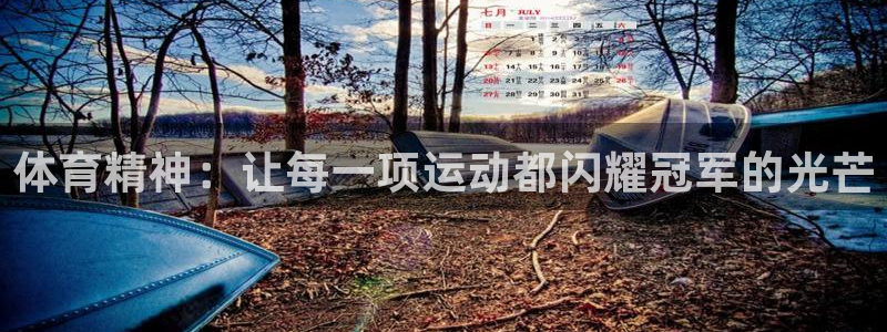 欧亿体育官方正版app娱乐首页网站大全:体育精神:让每一项运