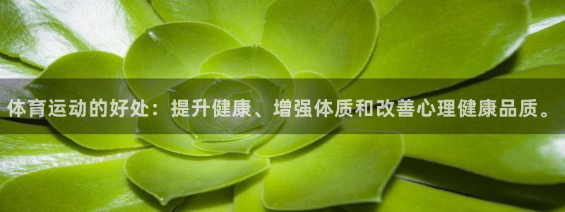 欧亿体育官方正版app集团:体育运动的好处:提升健康、增强体