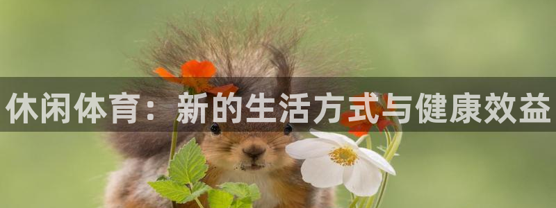 欧亿体育官方正版app集团简介:休闲体育:新的生活方式与健康