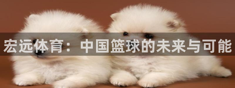 欧亿体育官方正版app科技:宏远体育:中国篮球的未来与可能