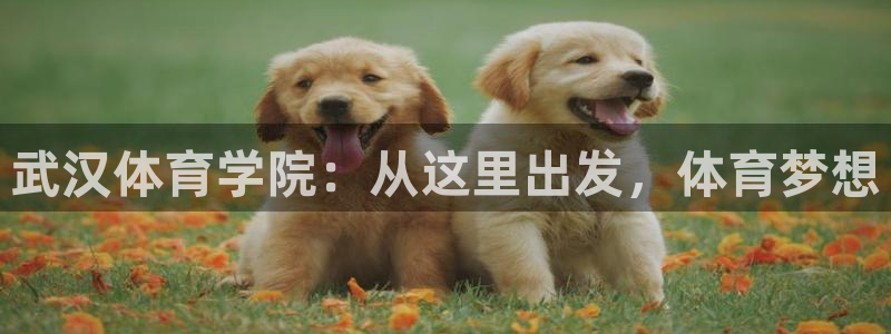 海南oety欧亿体育官网下载发展怎么样:武汉体育学院:从这里
